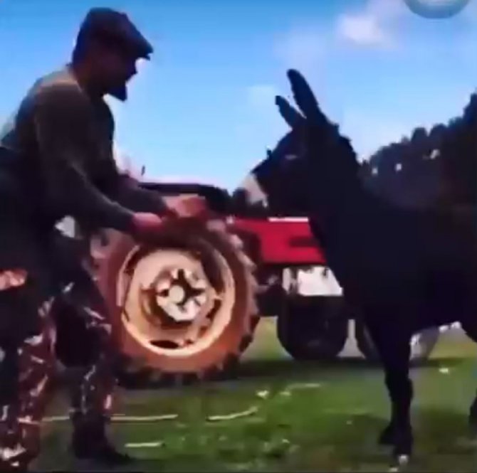 Kırkpınar Başpehlivanının Başarısında ’Eşek’ Sırrı