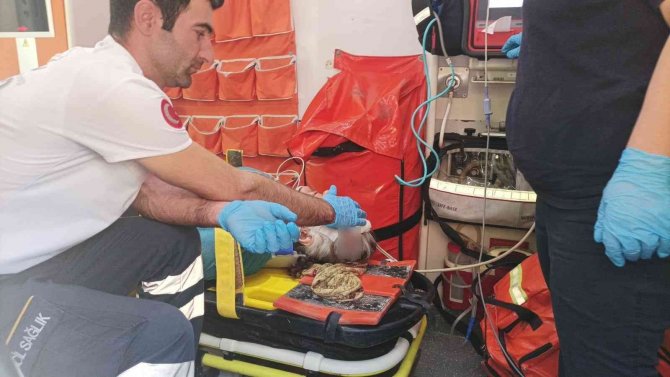 Otomobilin Çarpıp Kaçtığı Yaşlı Kadın Yaralandı