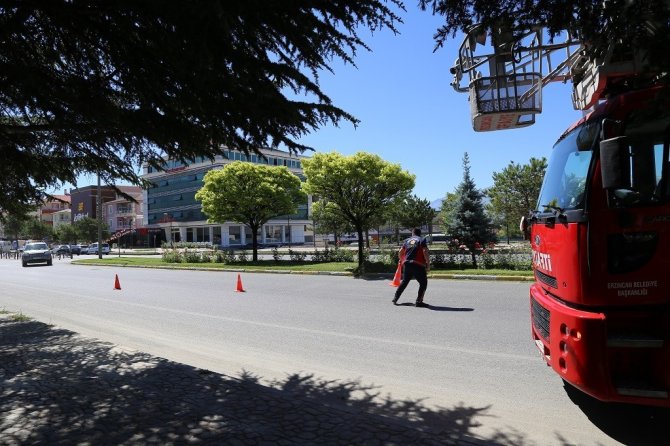 Ağaçta Mahsur Kalan Yavru Kedinin Yardımına İtfaiye Yetişti