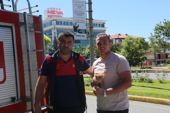Ağaçta Mahsur Kalan Yavru Kedinin Yardımına İtfaiye Yetişti