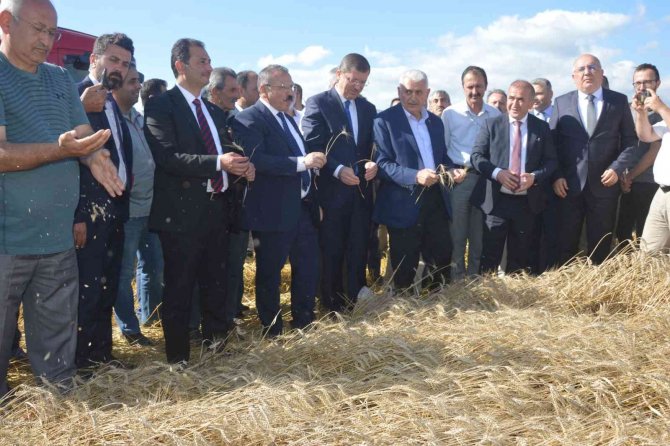 Binali Yıldırım Biçerdöverle Buğday Hasadı Yaptı