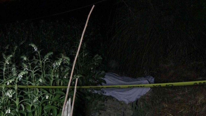 Antalya’da 16 Yaşındaki Çocuk, Susam Tarlasında Tüfekle Vurulmuş Halde Bulundu