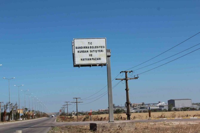 Bandırma’da Kurban Pazarı Kuruldu