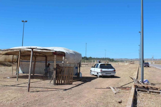 Bandırma’da Kurban Pazarı Kuruldu