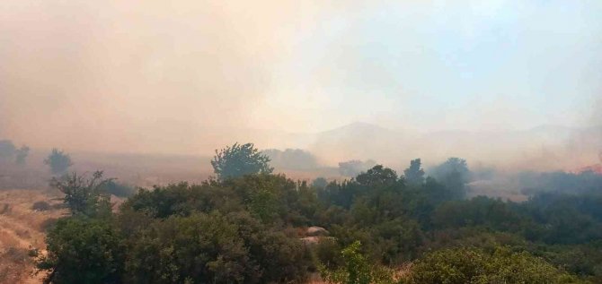 Çanakkale’de Orman Yangını