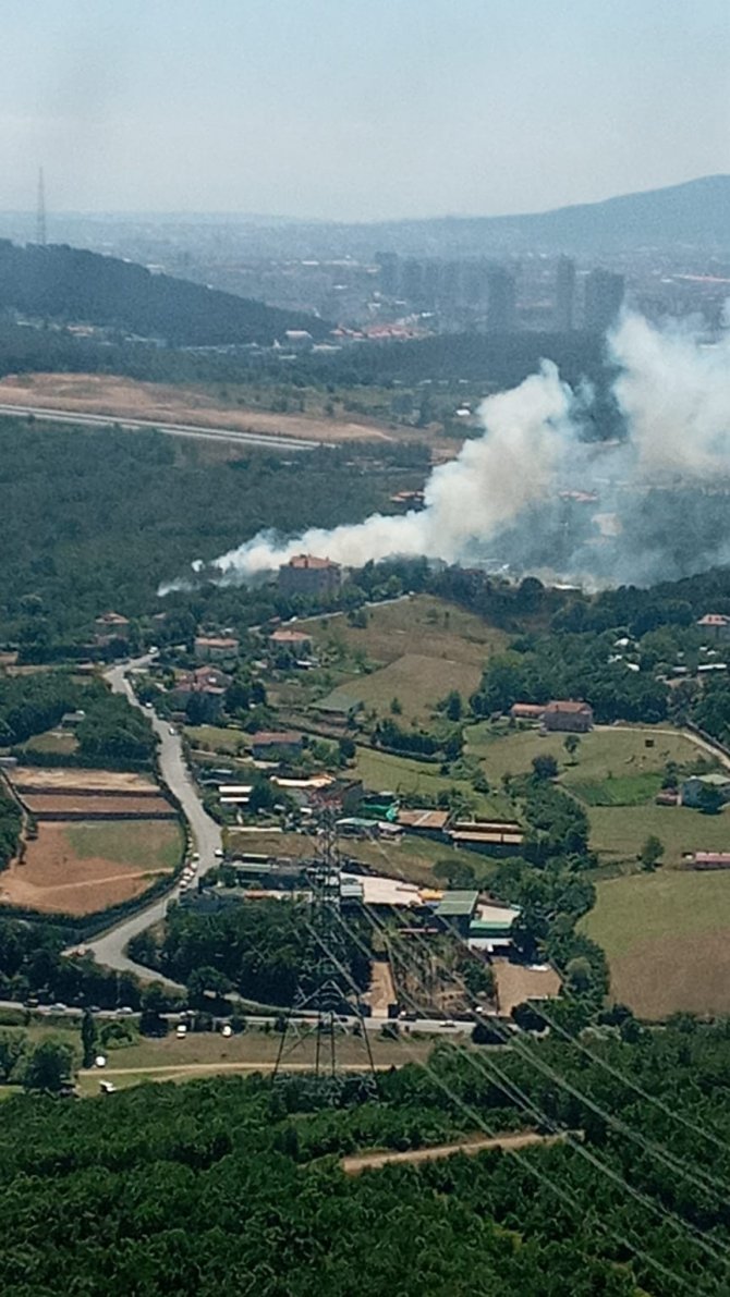 Beykoz’da Ormanlık Alandaki Yangınla İlgili 1 Şüpheli Yakalandı