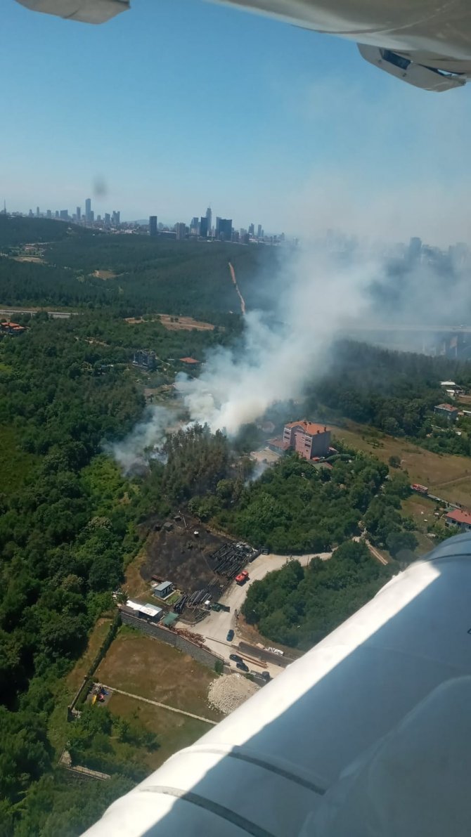 Beykoz’da Ormanlık Alandaki Yangınla İlgili 1 Şüpheli Yakalandı