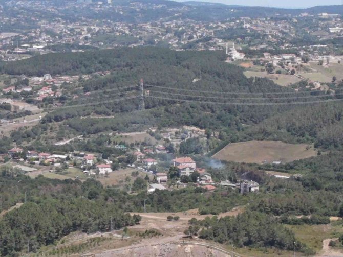 Beykoz’da Ormanlık Alandaki Yangınla İlgili 1 Şüpheli Yakalandı