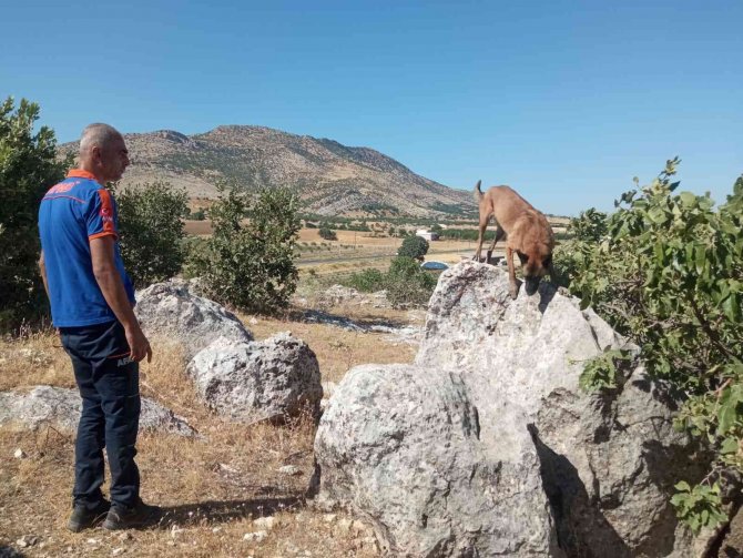 Diyarbakır’da Kayıp Şizofreni Hastası İçin Ekipler Seferber Oldu