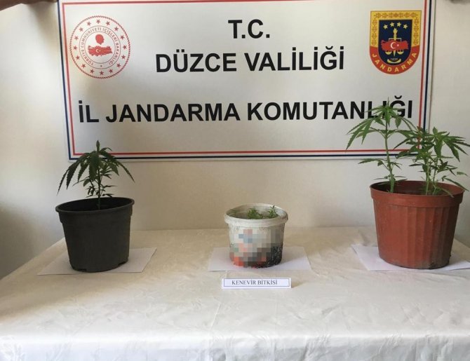 Jandarma’dan Uyuşturucu Geçit Yok