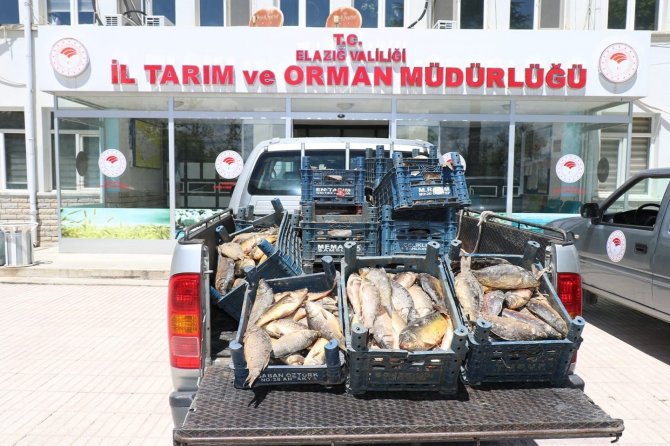 Elazığ’da Kaçak Avlanan 84 Kişiye 350 Bin Lira Ceza