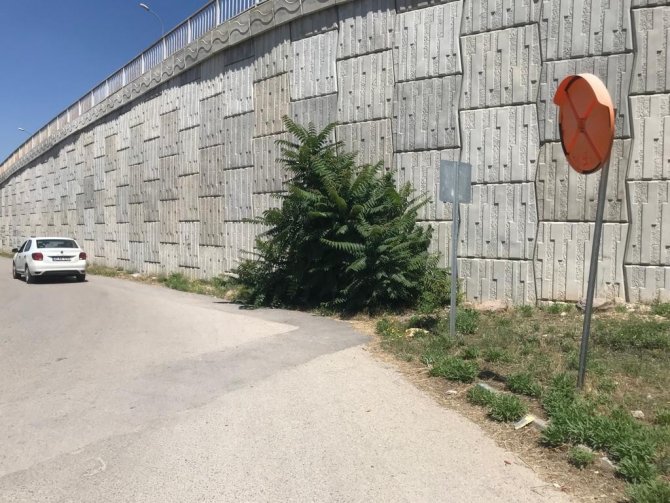 Trafik Güvenliğini Sağlayan Ayna Vandalların Hedefi Oldu