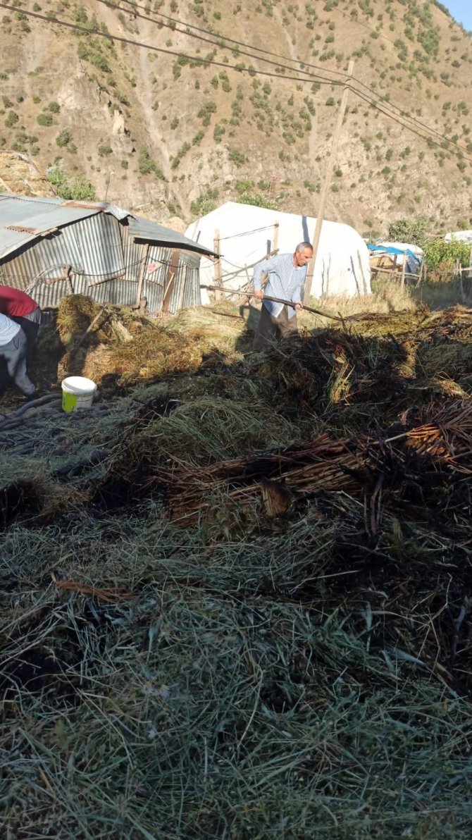 Hakkari’de 700 Bağ Ot Yandı