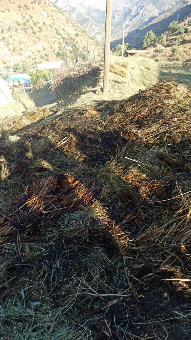 Hakkari’de 700 Bağ Ot Yandı