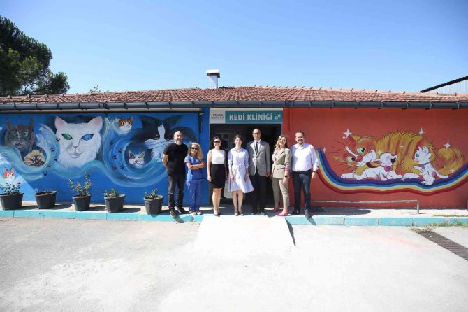 Nilüfer’de Hasta Ve Yaralı Sokak Kedilerine Donanımlı Klinik