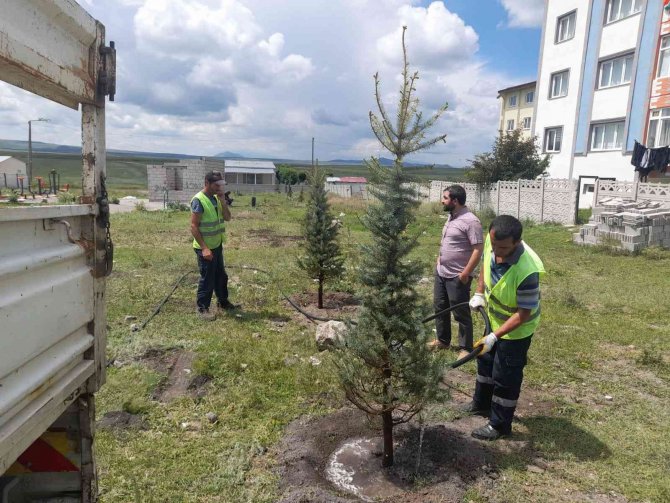 Kars’ta Belediye Park Ve Bahçelere Fidan Dikiyor