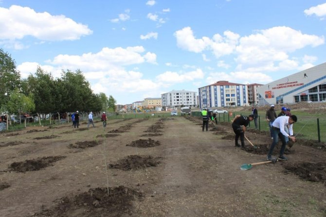 Kars’ta Belediye Park Ve Bahçelere Fidan Dikiyor