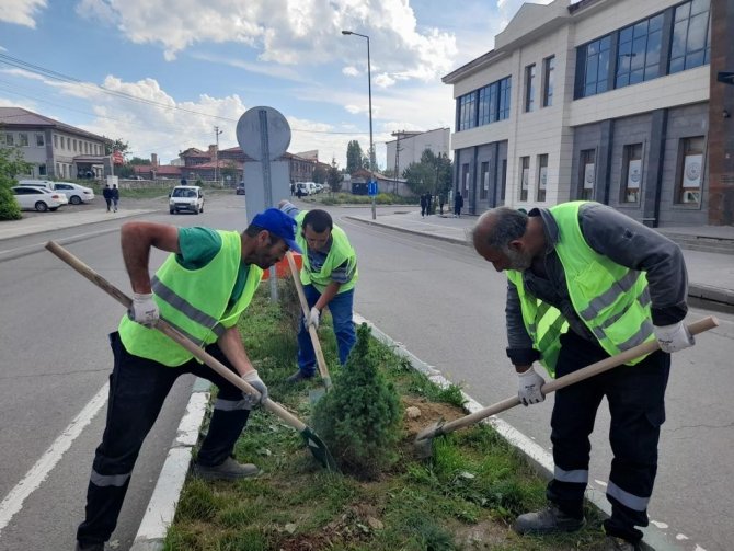 Kars’ta Belediye Park Ve Bahçelere Fidan Dikiyor