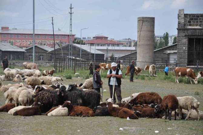 Kars’ta Kurban Pazarı Kuruldu
