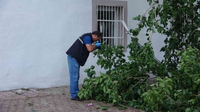 Dut Toplamak İçin Çıktığı Ağaçtan Düşen Yaşlı Adam Yaşamını Yitirdi
