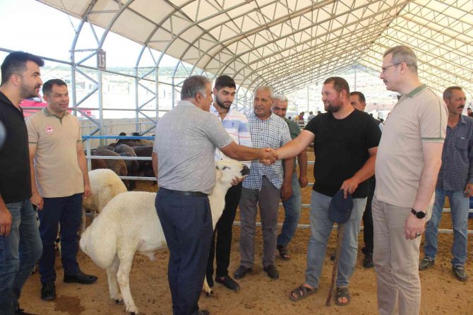 Kilis’te Kurban Pazarı Denetlendi