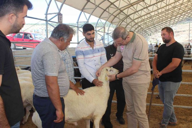 Kilis’te Kurban Pazarı Denetlendi