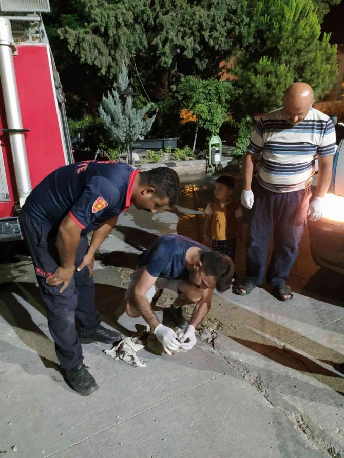 Kilis’te Sondaj Kuyusuna Düşen Yavru Köpek Kurtarıldı