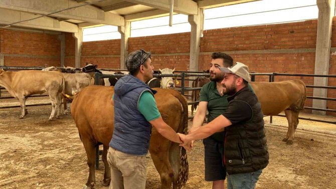 Bolvadin Hayvan Pazarındı Beklenen Satış Yok