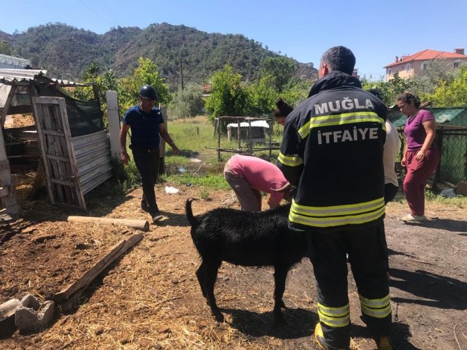 Ortaca’da Saman Balyaları Yandı