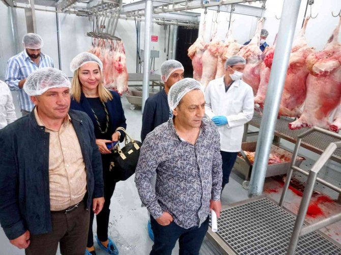 Cağ Fabrikasında Son Rötuşlar Tamamlanıyor