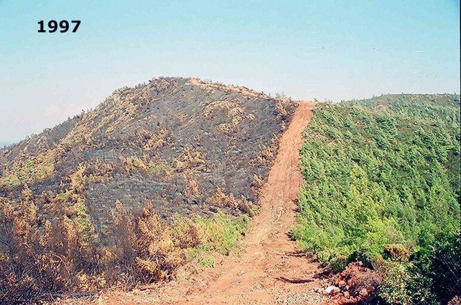 Bu Şerit Yangınlara Geçit Vermiyor