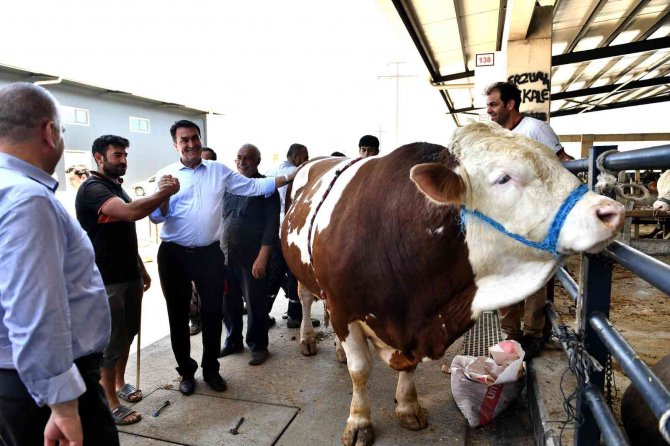 Bursa Kurban Pazarında Hareketli Günler