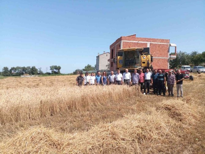19 Mayıs’ta Buğday Hasadı Başladı