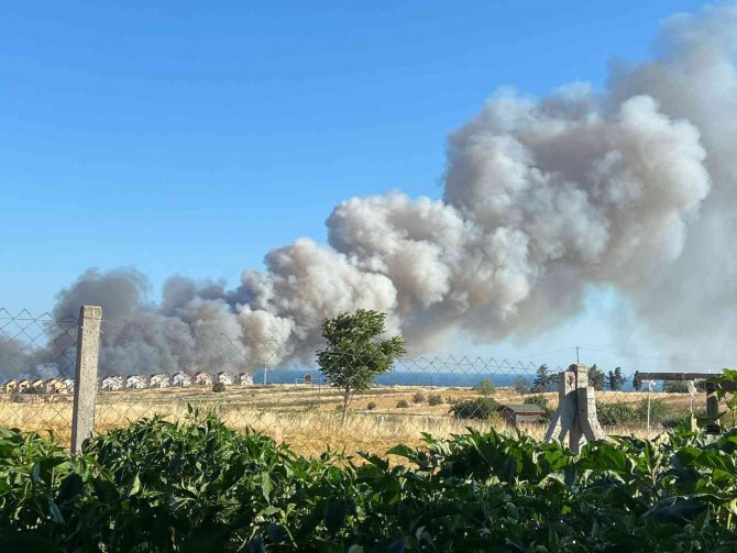 Silivri’de Buğday Tarlası Alev Alev Yandı