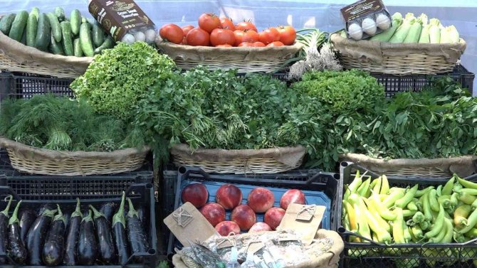 Bu Liseyi Tercih Edene Aylık Bin Lira Burs