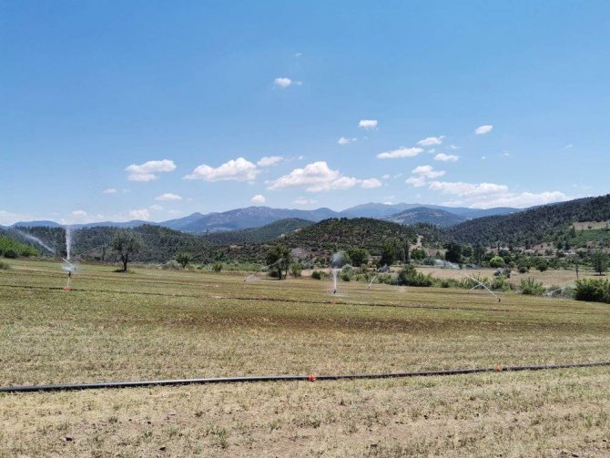 Tavşanlı’da Yağmurlama Sulama Projesi Hak Ediş Kontrolü