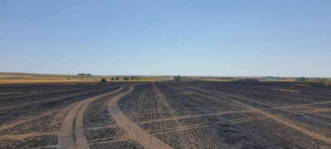 Tekirdağ’da 130 Dönüm Arazi Kül Oldu