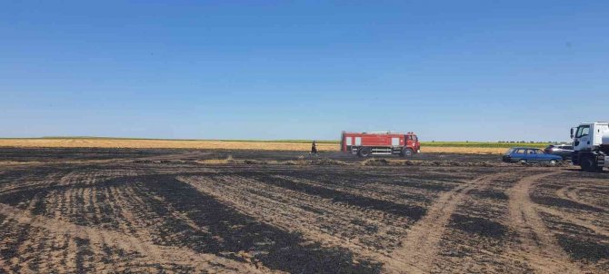 Tekirdağ’da 130 Dönüm Arazi Kül Oldu