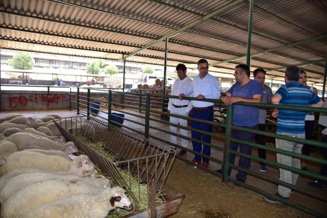 Manisa’da Kurban Satış Noktalarında İlaçlama Çalışması