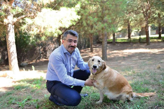 Yıldırım’da Sokak Hayvanları Emin Ellerde