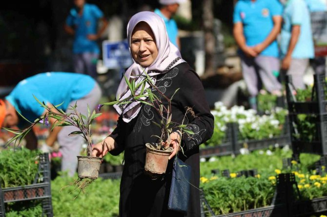 Alanya’da Bayramda 60 Bin Çiçek Dağıtılacak