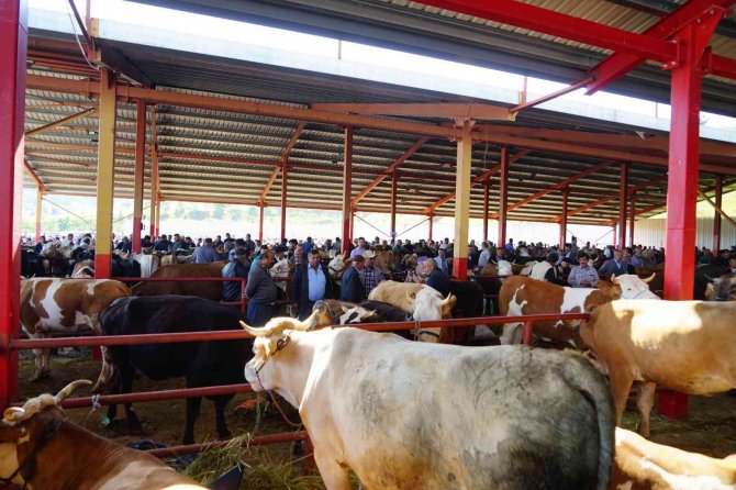 Kastamonu Tarım Ve Orman İ̇l Müdürü Bekir Yücel Tanrıkulu: