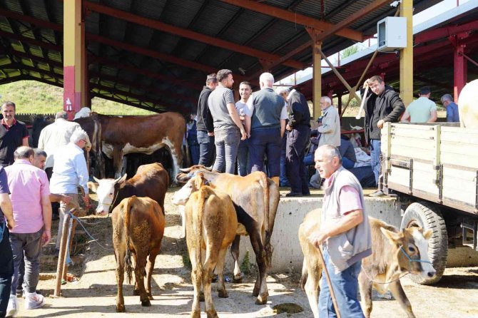 Kastamonu Tarım Ve Orman İ̇l Müdürü Bekir Yücel Tanrıkulu: