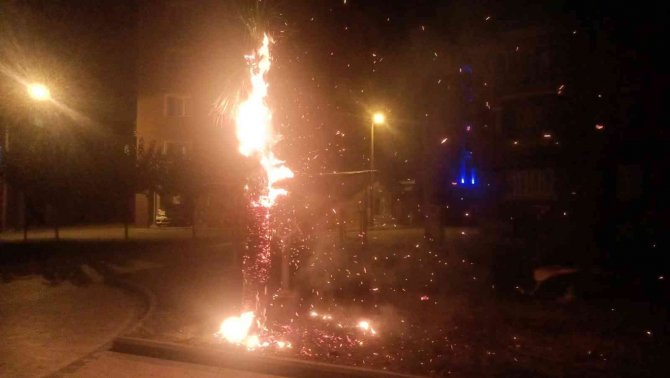 Çocukların Ateşle Oyunu Ağacı Tutuşturdu