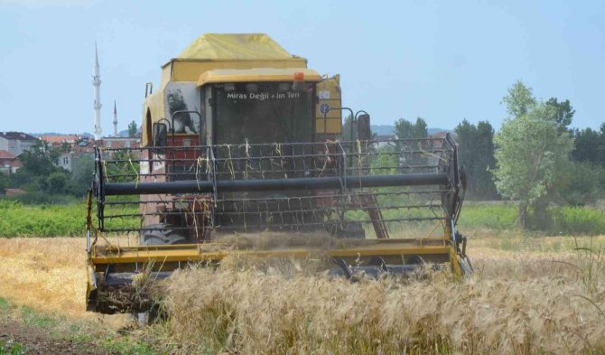 Anız Yakma Yasağına Uymayanlara Ceza