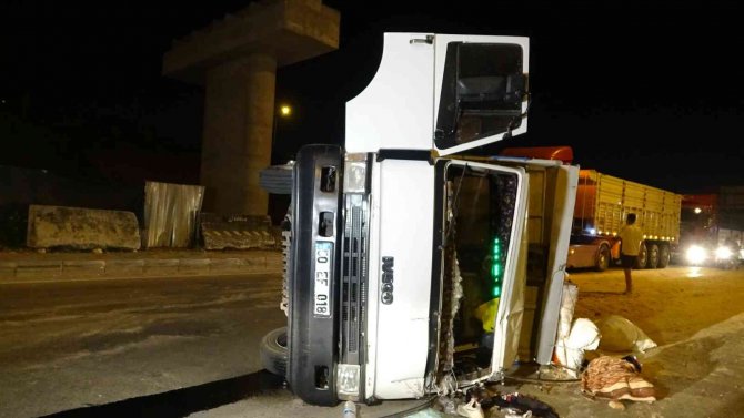 Talaş Yüklü Kamyon Devrildi, 2 Kişi Yaralandı