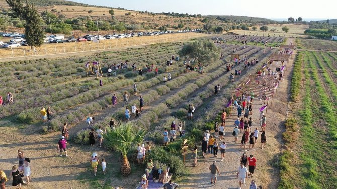 Didim Lavanta Festivali İçin Gün Sayıyor