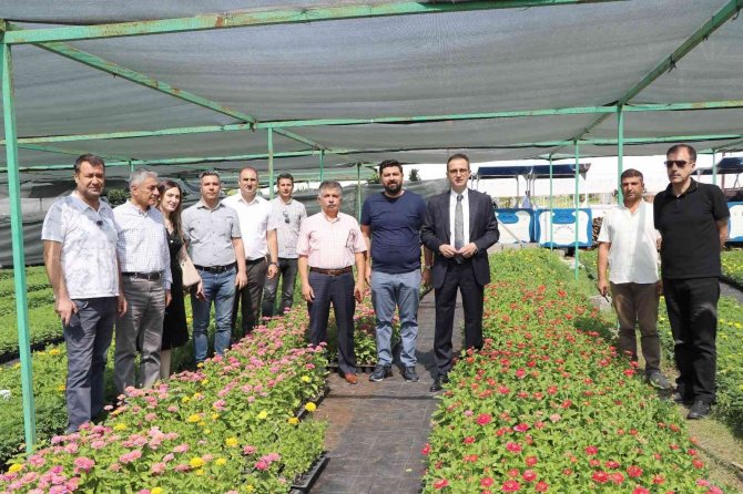 Diyarbakır’da 20 Bin Çam Fidanı Ve 500 Bin Mevsimlik Çiçek Dağıtıldı