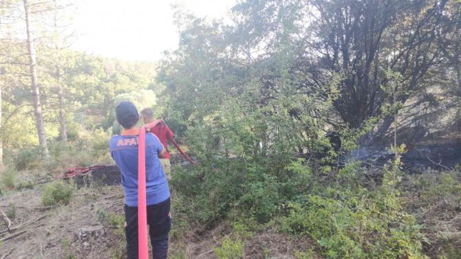 Edirne’de Orman Yangını: Havadan Ve Karadan Müdahale Ediliyor