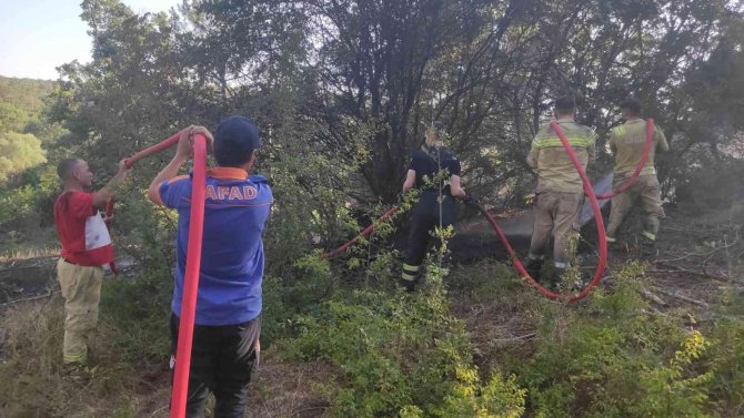 Edirne’de Orman Yangını: Havadan Ve Karadan Müdahale Ediliyor